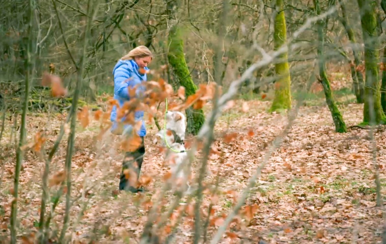 „Rote Rosen“-Schock: Jördis verunglückt im Wald!